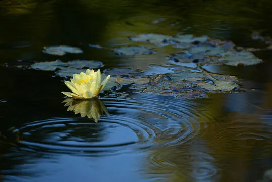冷热号码统计示例